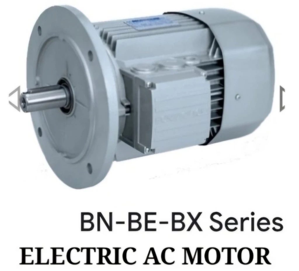 Bonfiglioli Electric AC Motor - BN/BE/BX Series 1 11