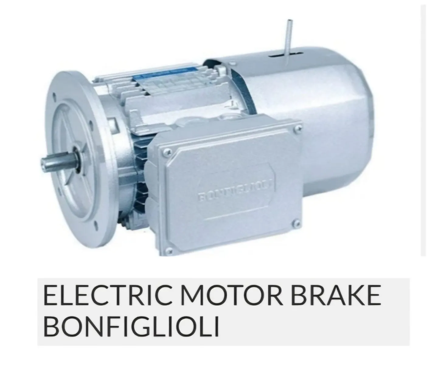 Electric Motor Brake