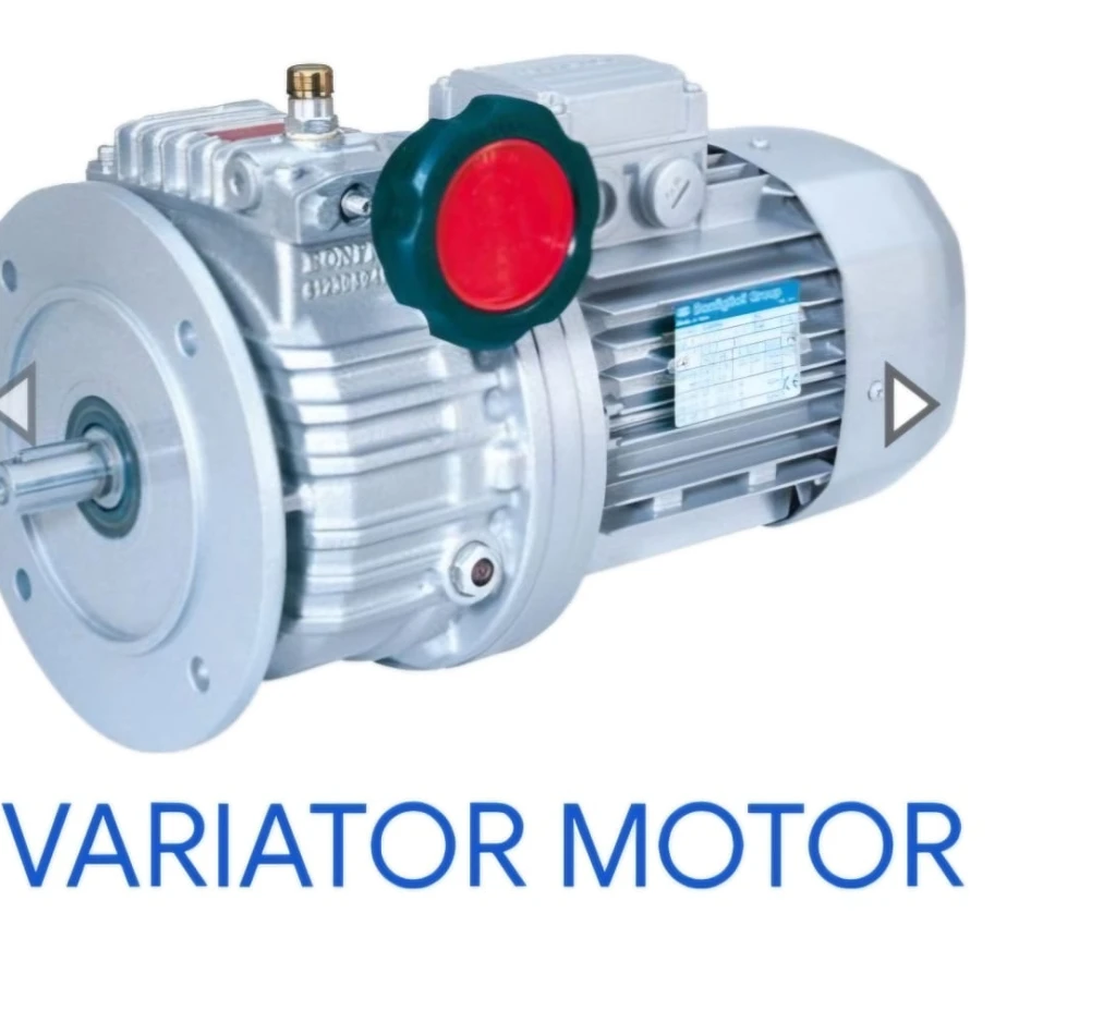 Bonfiglioli Variator Motor 1 15
