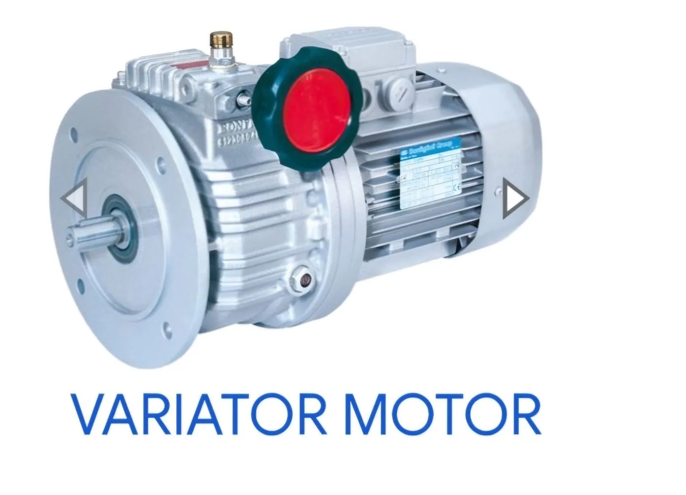 Variator Motor